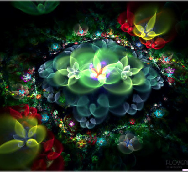 Boulangerie aurillac