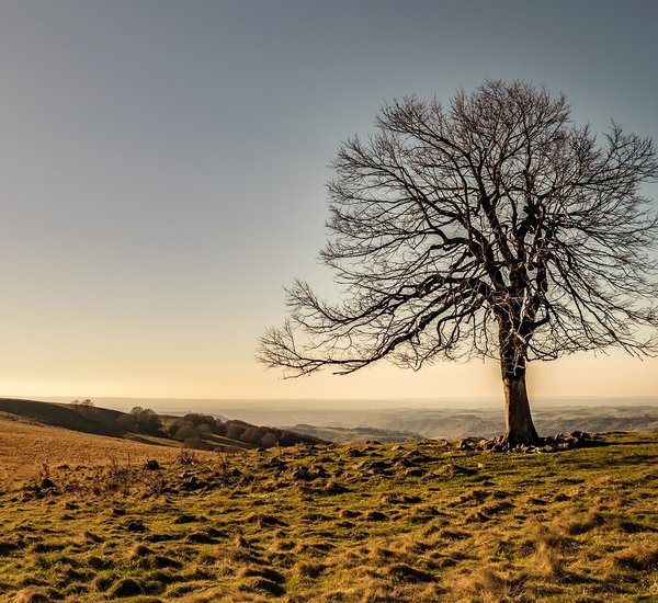 Vue ext&eacute;rieur du gite